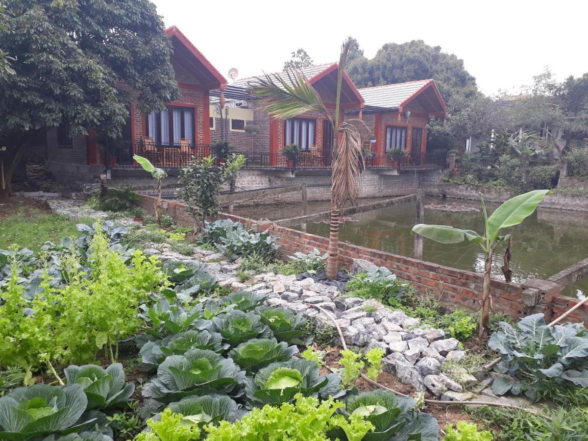 Chez Hiep Tam Coc Homestay Ninh Binh Exterior foto